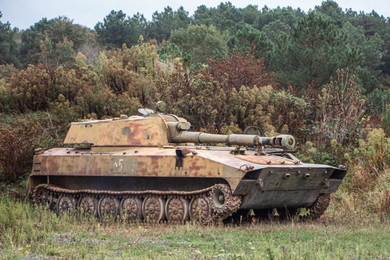 Self-propelled howitzer (2S1-type) in the field — Fontevraud, France (September 2024)